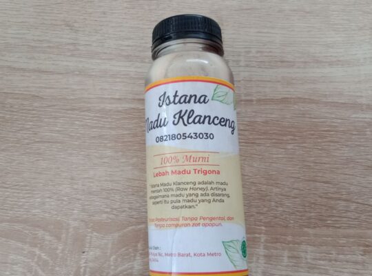 madu klanceng trigona