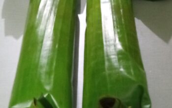 nasi bakar