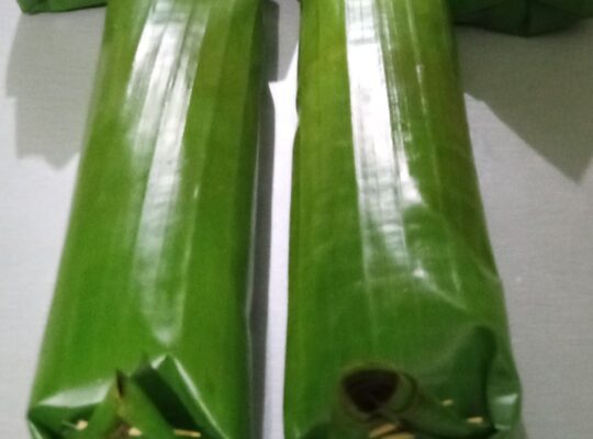 nasi bakar